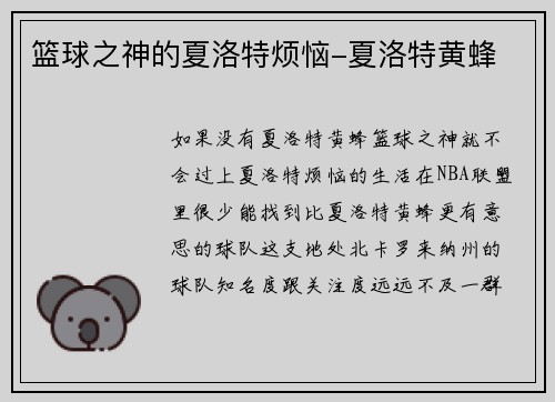 篮球之神的夏洛特烦恼-夏洛特黄蜂